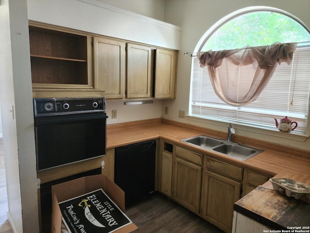 2960 Ash Fld, San Antonio, TX 78245 - kitchen with black appliances, a sink, dark wood-style flooring, and open shelves