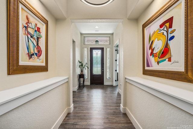 1015 Broken Spoke, Canyon Lake, TX 78133 - foyer entrance with dark wood-style floors and baseboards