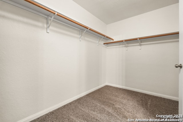 3823 Southern Sky, San Antonio, TX 78222 - spacious closet with carpet flooring
