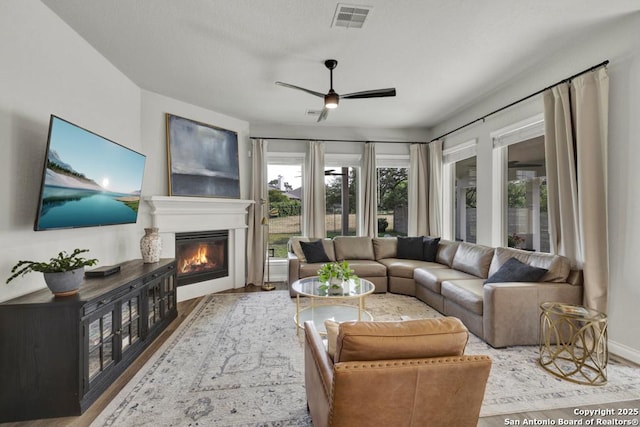 562 Orchard Way, New Braunfels, TX 78132 - living area featuring ceiling fan, wood finished floors, and a glass covered fireplace