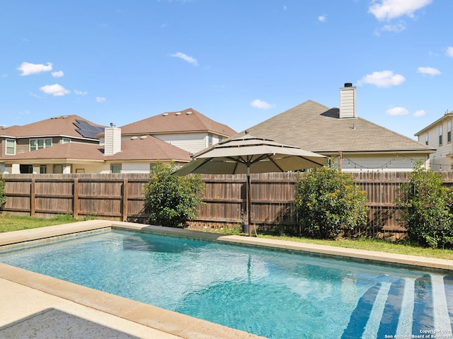 20310 Roche Oak, San Antonio, TX 78259 - view of swimming pool