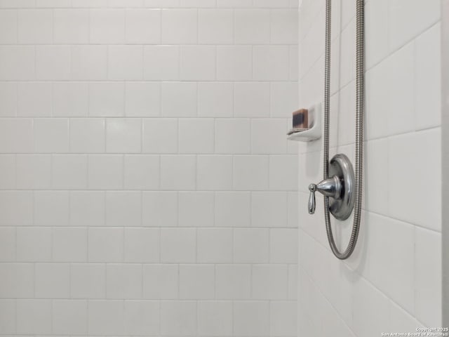 20310 Roche Oak, San Antonio, TX 78259 - bathroom view of tiled shower