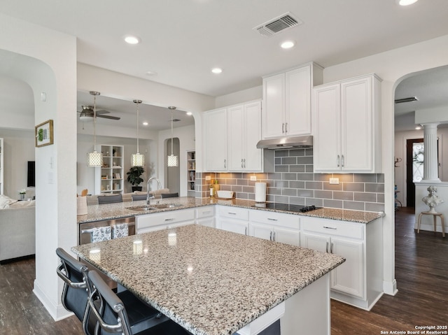 20310 Roche Oak, San Antonio, TX 78259 - kitchen featuring arched walkways, a sink, black electric stovetop, ceiling fan, and white cabinetry