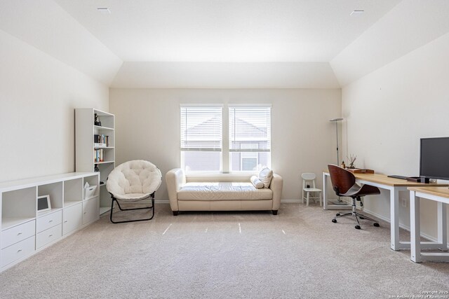 7421 Cimarron Lk, Boerne, TX 78015 - office space featuring carpet floors, lofted ceiling, and baseboards