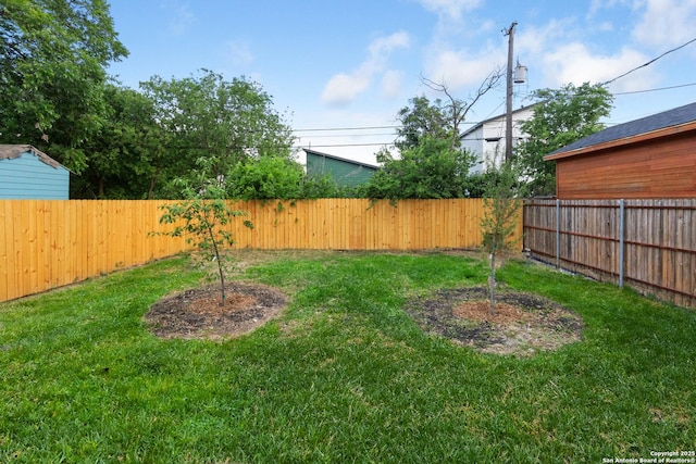 1422 Sherman, San Antonio, TX 78202 - view of yard
