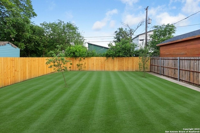 1422 Sherman, San Antonio, TX 78202 - view of yard