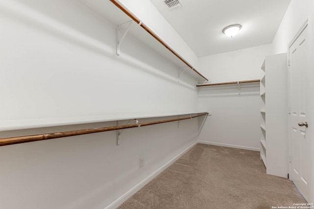 3319 Brooktree Ct, San Antonio, TX 78261 - spacious closet with carpet floors