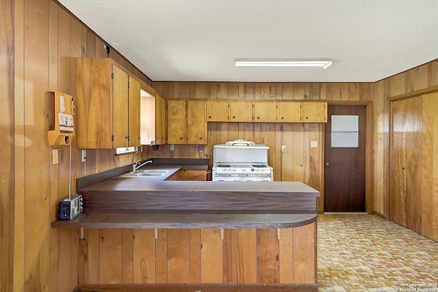1212 County Road 337, La Vernia, TX 78121 - kitchen featuring dark countertops, wooden walls, a sink, brown cabinets, and a peninsula