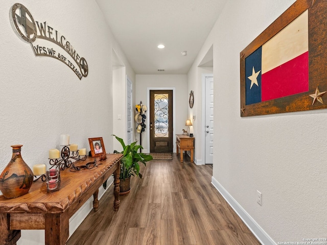 243 Bamberger, New Braunfels, TX 78132 - foyer with wood finished floors, baseboards, and recessed lighting