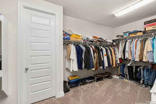 243 Bamberger, New Braunfels, TX 78132 - walk in closet featuring carpet floors