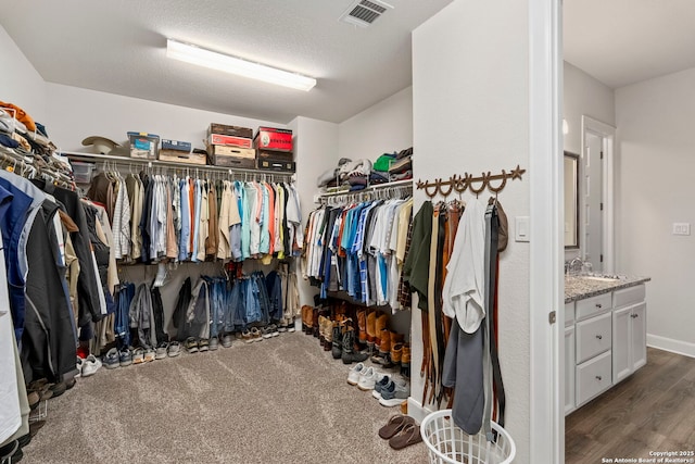 243 Bamberger, New Braunfels, TX 78132 - walk in closet featuring wood finished floors and a sink