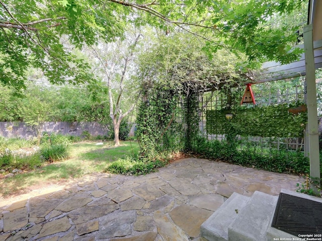 19914 Encino Moss, San Antonio, TX 78259 - fenced backyard with a patio area