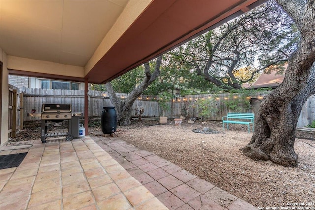 4415 Shavano Way, San Antonio, TX 78249 - fenced backyard with a patio area and area for grilling