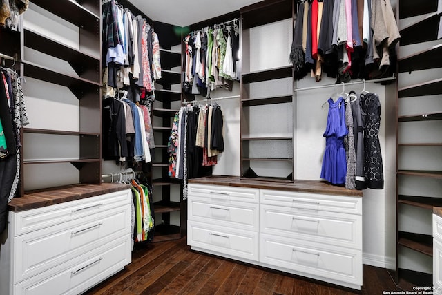 11 Gemsbuck Rise, San Antonio, TX 78258 - spacious closet with dark wood finished floors