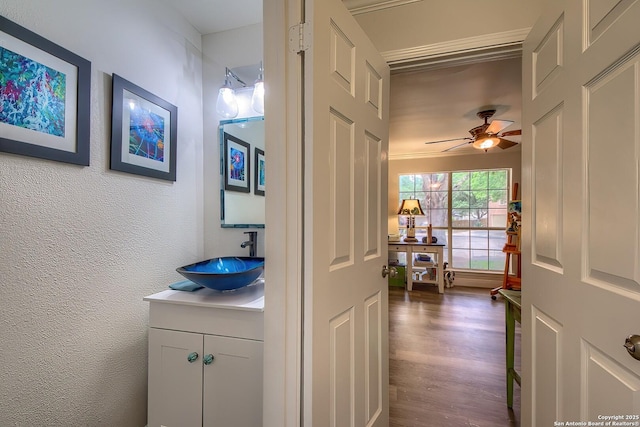 3512 Mcalister, Schertz, TX 78154 - hall with a sink, dark wood-style flooring, and a textured wall