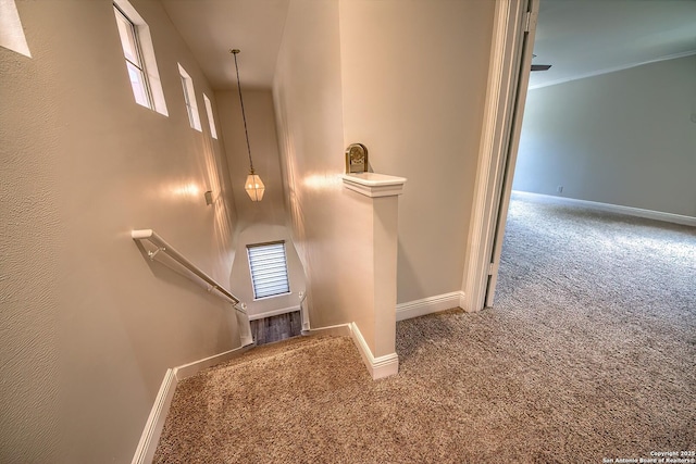 3512 Mcalister, Schertz, TX 78154 - stairway featuring carpet and baseboards