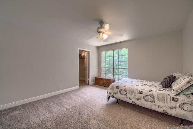 3512 Mcalister, Schertz, TX 78154 - bedroom with light colored carpet, baseboards, a ceiling fan, and a walk in closet