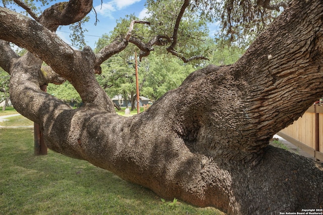 102 Southgate, Pleasanton, TX 78064 - view of local wilderness
