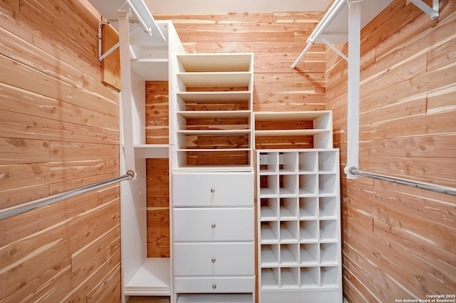 29241 Seabiscuit, Boerne, TX 78015 - view of walk in closet