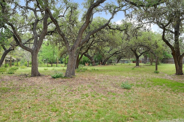 29241 Seabiscuit, Boerne, TX 78015 - view of yard