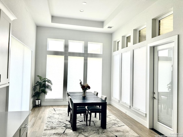 1185 Abelia, New Braunfels, TX 78132 - dining room featuring light wood-style floors and a tray ceiling