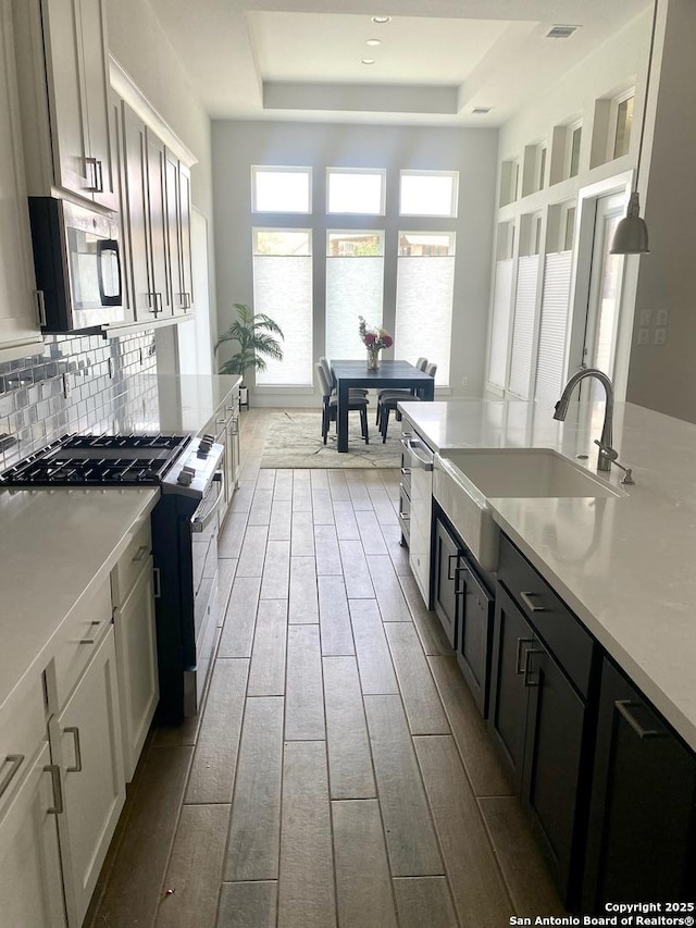 1185 Abelia, New Braunfels, TX 78132 - kitchen featuring appliances with stainless steel finishes, a raised ceiling, a sink, wood finished floors, and light countertops