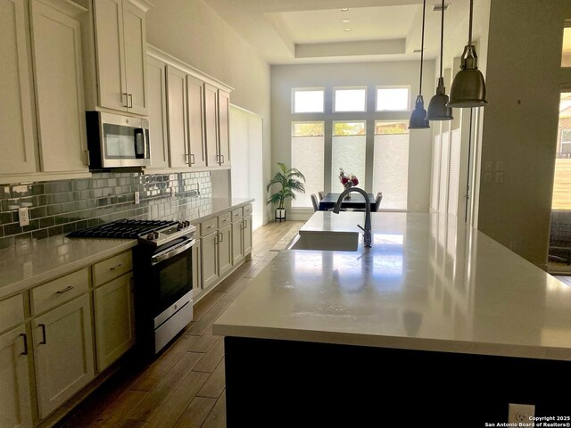 1185 Abelia, New Braunfels, TX 78132 - kitchen featuring stainless steel appliances, a raised ceiling, a sink, backsplash, and dark wood-style flooring