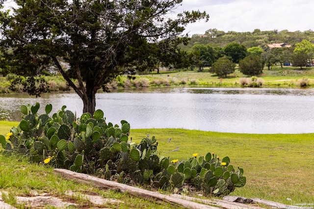 194 N Wood Duck, Kerrville, TX 78028 - water view