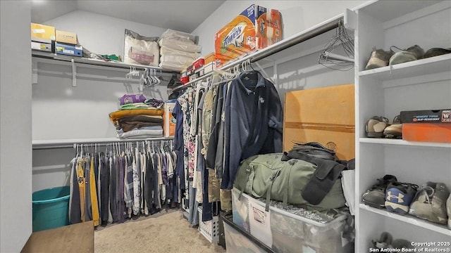 229 Colebrook Way, Cibolo, TX 78108 - walk in closet featuring carpet floors