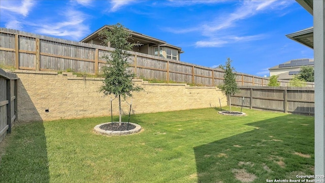 229 Colebrook Way, Cibolo, TX 78108 - view of yard