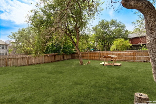 1215 Dezarae St, San Antonio, TX 78253 - view of yard