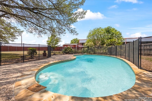 268 Cordova Loop, Seguin, TX 78155 - view of pool
