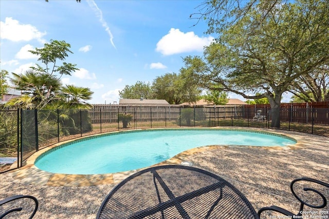 268 Cordova Loop, Seguin, TX 78155 - view of swimming pool featuring a fenced backyard