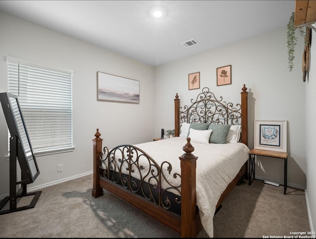 6416 Embankment, San Antonio, TX 78252 - bedroom with carpet floors and baseboards