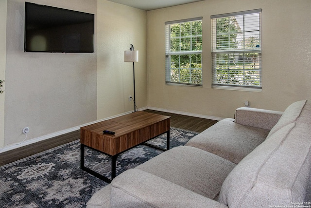 5922 Autumn Palms, San Antonio, TX 78242 - living room featuring wood finished floors and baseboards
