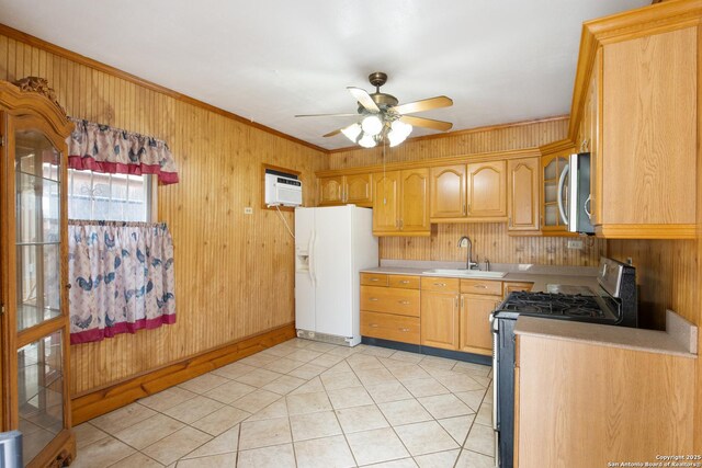 2150 W Summit Ave, San Antonio, TX 78201 - kitchen with appliances with stainless steel finishes, a sink, a ceiling fan, light countertops, and ornamental molding