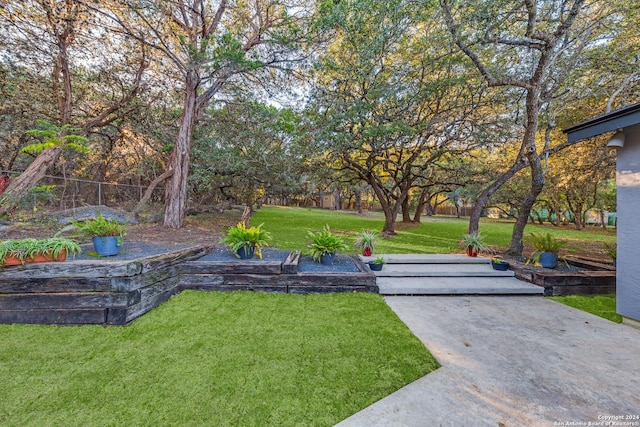 8537 Classic Oaks Ln, San Antonio, TX 78255 - view of green lawn