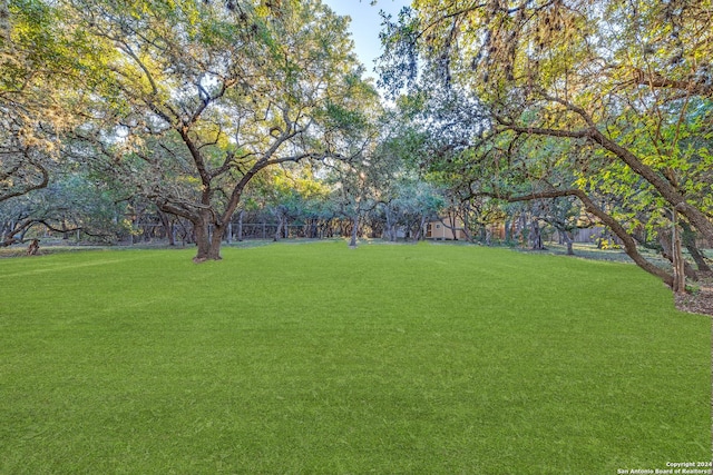 8537 Classic Oaks Ln, San Antonio, TX 78255 - view of grassy yard