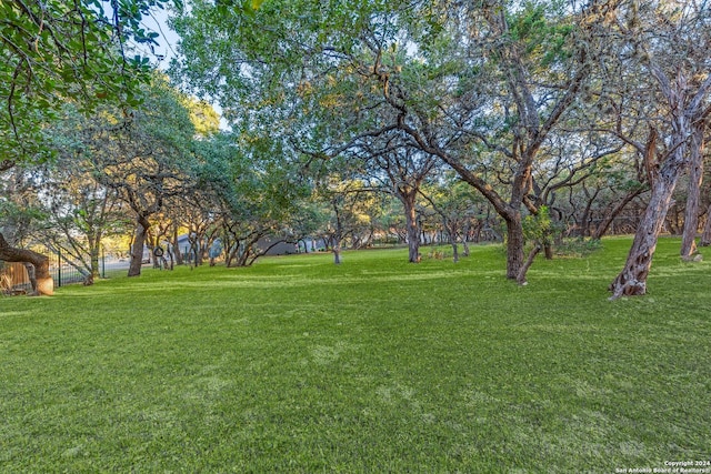 8537 Classic Oaks Ln, San Antonio, TX 78255 - view of grassy yard