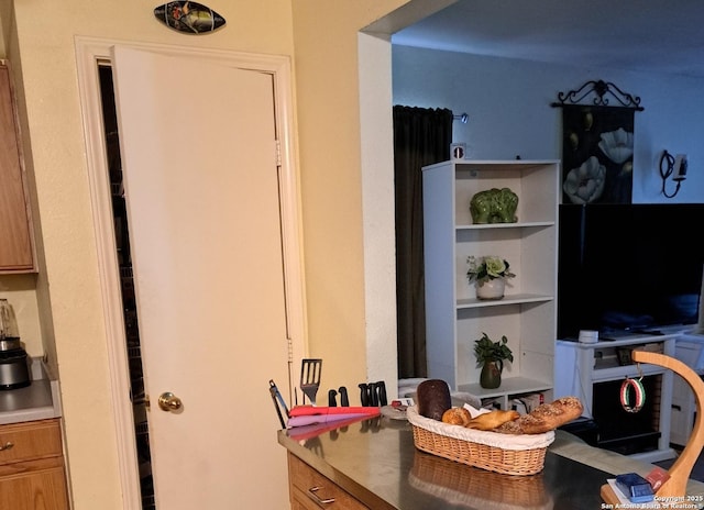 210 Catherine, San Antonio, TX 78237 - view of living area