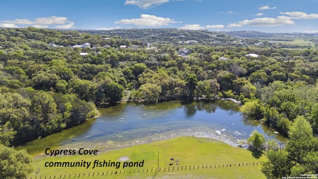 771 Mockingbird, Spring Branch, TX 78070 - drone / aerial view of a forest and a large body of water