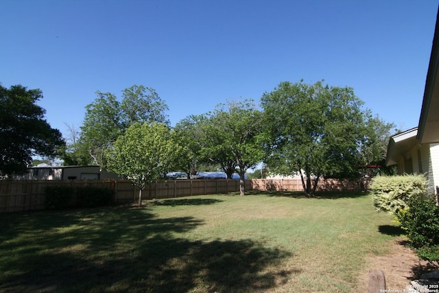 206 Alvina, Castroville, TX 78009 - view of yard