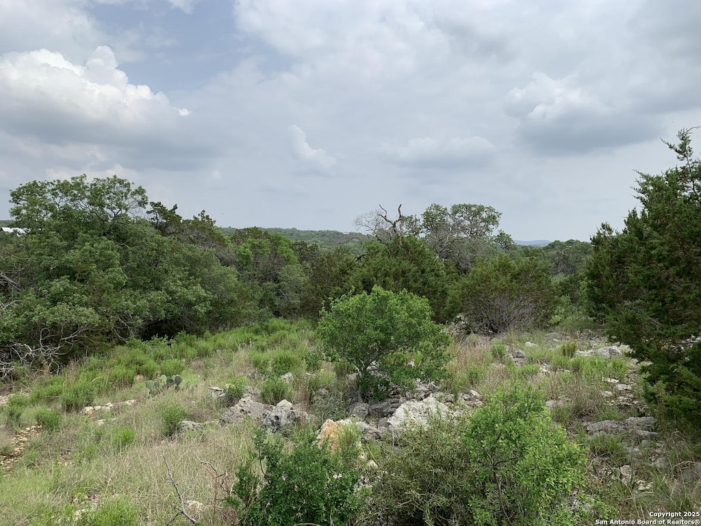 431 Cliffview Cir, Canyon Lake, TX 78133