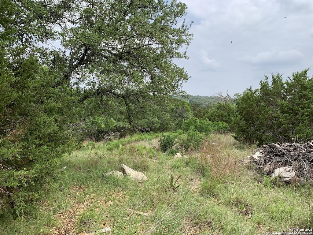 431 Cliffview Cir, Canyon Lake, TX 78133