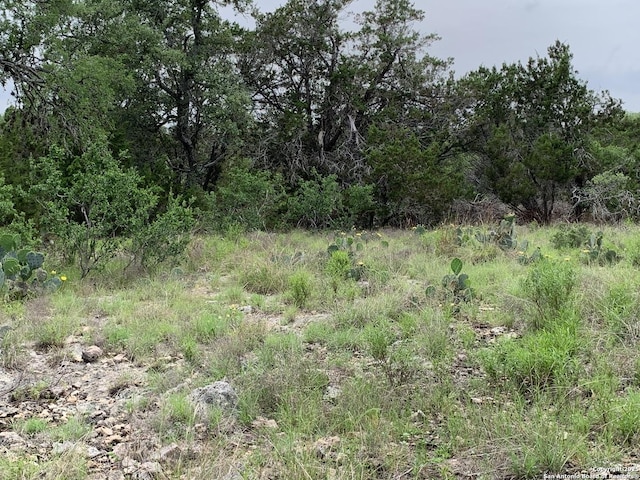 431 Cliffview Cir, Canyon Lake, TX 78133