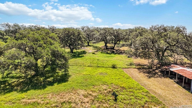 30951 Blanco Rd, Bulverde, TX 78163 - view of yard