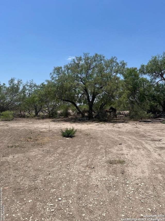 793 Fm 1986, La Pryor, TX 78872 - view of yard