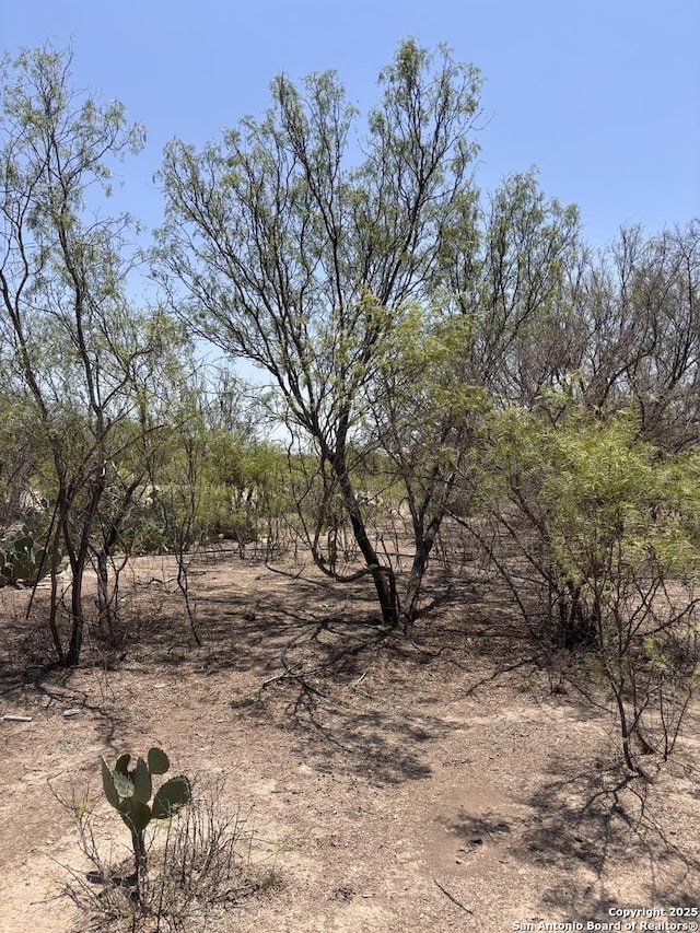 793 Fm 1986, La Pryor, TX 78872 - view of local wilderness