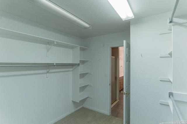 424 Mount Joy, New Braunfels, TX 78130 - walk in closet with tile patterned flooring