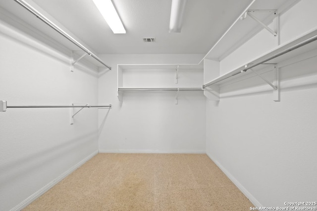 424 Mount Joy, New Braunfels, TX 78130 - spacious closet with light carpet